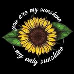 Amanda Schatz - @amandaschatz2025 - Instagram
