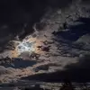 Amanda Scheper - @amanda.scheper - TikTok