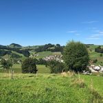 Amanda - @_amanda_scholz_ - Instagram