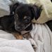Mandy Schramm - Facebook