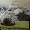 amandaseward89 - @amandaseward89 - TikTok