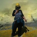 Amanda Shackleton - @amandashackleton - Instagram
