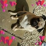 Amanda Sheldon - @amanda.sheldon.12 - Instagram