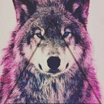 Amanda Shilling - @wolfia_moonlight_ - Instagram