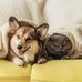 Amanda Shin World - Facebook