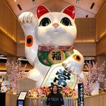 Amanda Shing - @amandaymshing - Instagram