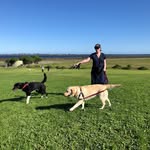 Amanda Shipp - @tugboatmandy - Instagram