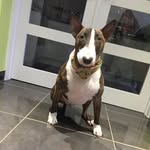 Amanda Shipp - @amandashipp77 - Instagram