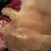 Amanda Shott - @ava1234654321 - TikTok