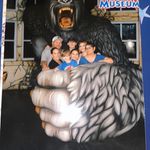 Amanda Shrader - @shrader4838 - Instagram