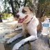 Amanda Shue - Facebook