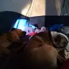 Amanda Shue - @amanda.shue - TikTok