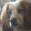 Amanda Suntah - @amanda.suntah - TikTok