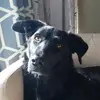 amandashupe06 - @amandashupe06 - TikTok