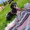 amandashupe0 - @yamamaaa69 - TikTok