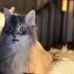 Amanda Schutts - Facebook
