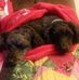 Mandy Sidebottom - Facebook