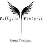 Amanda Sidwell - @valkyrieventuresllc - Instagram