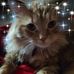 Amanda Sipple - Facebook