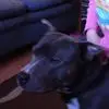 Amanda Skilling - @amanda.skilling - TikTok