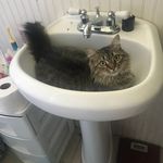 Amanda Slagle - @jaslagle - Instagram