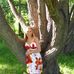 Amanda Sleeman - Facebook