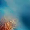amanda :) - @amanda.smiley7 - TikTok