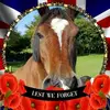 Amanda Smith - @amandasmith2253 - TikTok