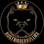 Amanda Smith - @builtbiggerbullies - Instagram