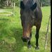 Amanda Louise Smithers - Facebook