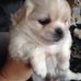 Mandy Smithwick - Facebook