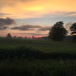 Amanda Smits - @greenmumgrows - Instagram