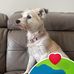 Amanda Snelling-Jones - Facebook