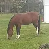 Amanda Snipes - @amandasnipes53 - TikTok