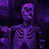 Amanda Snipes - @amandasnipes02 - TikTok