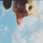 baixue - @_amanda_snow - Instagram