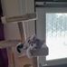 Amanda Snowdon - Facebook