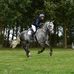 Amanda Snowdon BHSAI UKCC Level 2 Freelance Instructor - Facebook