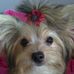 Amanda Soh - Facebook