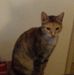 Amanda Sollid - Facebook