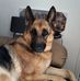 Amanda Solomons - Facebook