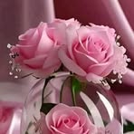 Amanda Somarriba - Facebook