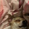 Amanda._.something - @amanda._.something - TikTok