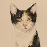 Mandy Duffy - @amandaspaint - Instagram