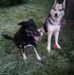 Mandy Seidel - Facebook