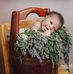Amanda Shandel - Facebook