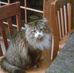 Amanda Spranger - Facebook