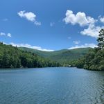 Amanda Springfield Love - @aspringlove - Instagram