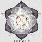 Amanda Sprout - @amandasprout2010 - Instagram