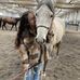Amanda Sprowls-Velasquez - Facebook